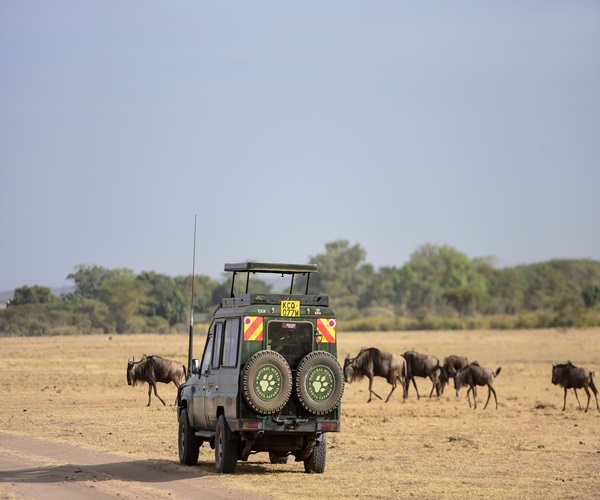 Kraftsnest Safaris team