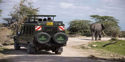 Amboseli National Park Guide