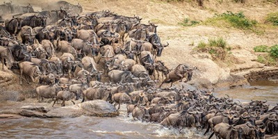 Best Time to Visit Maasai Mara
