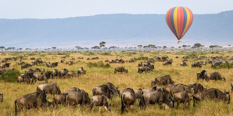 Maasai Mara landscape