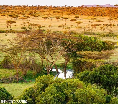 Maasai Mara