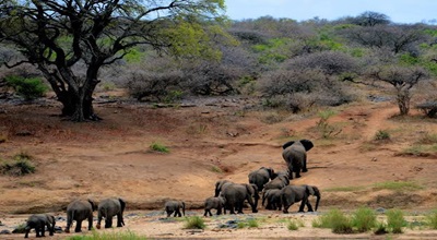Amboseli National Park