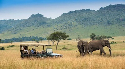 Maasai Mara Safari